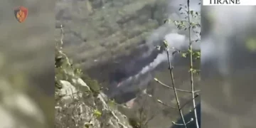 Ndezi zjarr në Parkun Kombëtar të Dajtit duke rrezikuar djegien e pyjeve, arrestohet 62-vjeçari