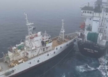 Aktivistët kundër gjuetisë së balenave përplasen me anijen industriale në Antarktidë