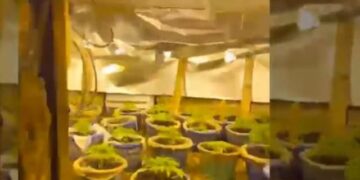 Ktheu magazinën në ‘fermë bari’, kapet në arrati i kërkuari