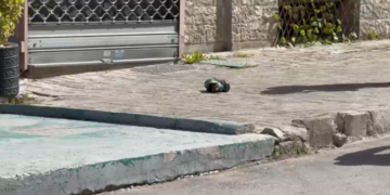 Sherr me grushte dhe sende të forta mes të rinjve në Korçë, një i plagosur